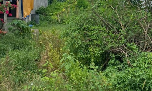 Chính chủ cần bán gấp lô đất 200m2,Nguyễn Văn Khạ,Củ Chi,giá 550 triệu