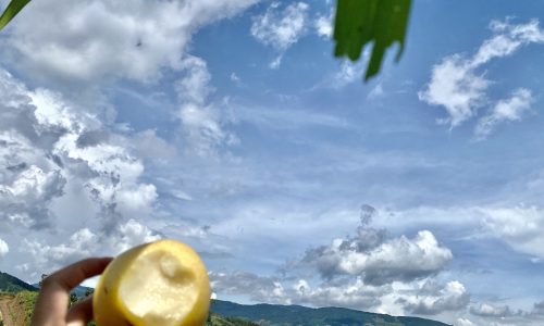 Bán đất quy hoạch đà lạt mới, 2 sào giá 1tr3/m2 sổ sẵn