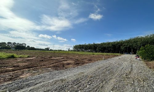 Đất Bình Dương giá  chỉ 680tr/ nền. Sổ sẵn công chứng ngay