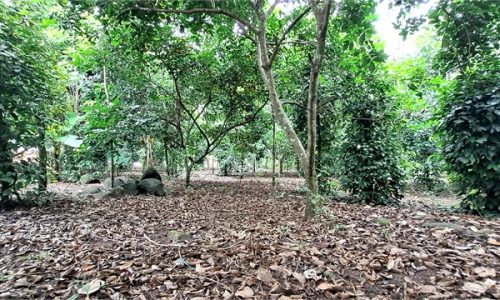 Đất Làm Nhà Vườn 2 Mặt tiền 27m x40m ||Bảo Quang- TP Long Khánh|| Giá chỉ 2 tỷ 300.