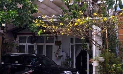 CẦN BÁN GẤP BIỆT THỰ VƯỜN MINI 200M2 – OTO NGỦ TRONG NHÀ – GIÁ NGỘP