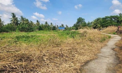 BÁN NỀN CHỈ 350 TRIỆU 1 CÔNG  TẠI VIÊN AN TRẦN ĐỀ SÓC TRĂNG GIÁ 350 TRIỆU