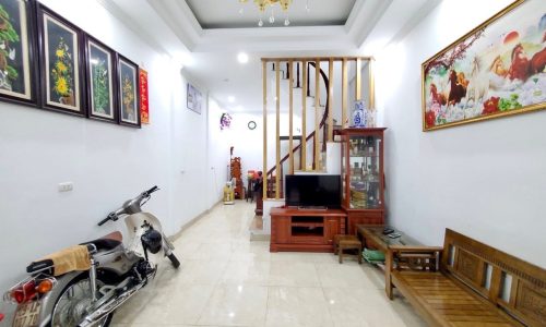 Nhà dân xây chắc chắn, ô tô 20m, dân trí cao, Lương Định Của, Kim Liên