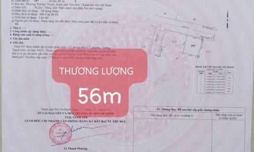 Cần ra gấp nền đất đường Lò Lu Trường Thạnh Thủ Đức 56m2 mặt đường 6m