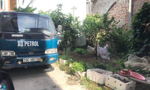 Bán 56m2 đất Kiên Thành, Trâu Quỳ đường oto giá chỉ 3 tỷ