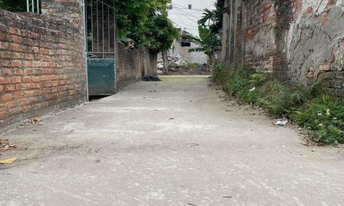 Bán đất  xã Trưng Trăc, Văn Lâm. 919tr, ô tô vào: lh 0835459289