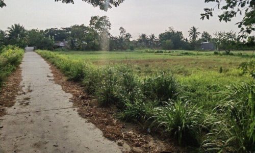 BÁN GẤP NỀN CAO RÁO GẦN TRUNG TÂM THÀNH PHỐ SÓC TRĂNG CHỈ 155 TRIỆU