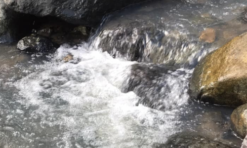 Đất giáp suối Đà Lạt giá chỉ 1tr5/m2