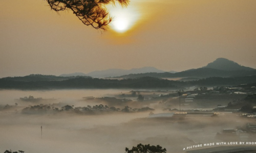 Đất nghĩ dưỡng Đà Lạt SHR 515m2 quy hoạch full thổ cư đất ODT