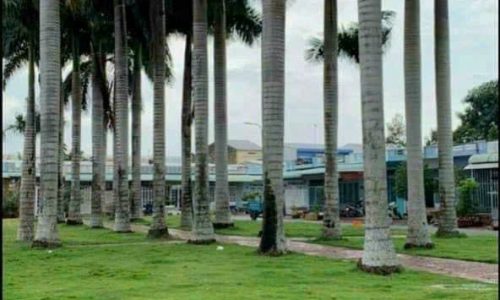 NHÀ TRỆT Giá rẻ 1 tỷ 330 NHÀ 5A – GẦN CÔNG VIÊN ĐƯỜNG D5 – KHU ĐÔ THỊ 5A