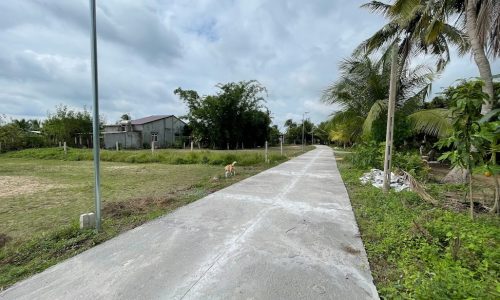 Đất Thổ Cư sát DT784 dân cư đông đúc giá rẻ