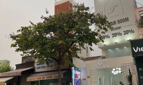 Cho thuê NC mặt tiền Nơ Trang Long, P14, Bình Thạnh 5x20m trệt 3 lầu