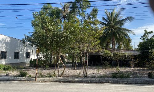 Nuôi Đìa Lỗ Nặng Bán Nhanh Miếng Đất 300m2 Để Bù Lỗ,Đất T/Cư,Sổ Hồng – Giá 1,18 Tỷ