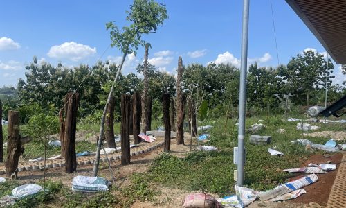 Đứt vốn tạm dừng đam mê cần chia lại homestay cho người hữu duyên