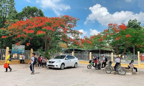 Tôi Linh Cần Bán 2 Nền Đất Liền Kề 300m2,MT Đường Nhựa,T/Cư (ODT),S/Hồng-1,3Tỷ/Nền