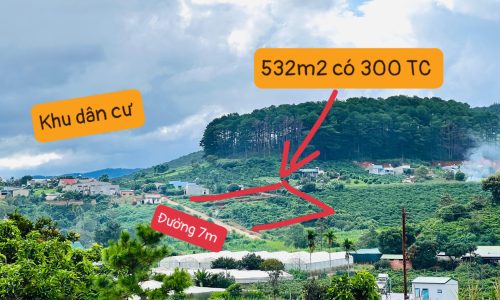 CÓ SỔ , CÓ THỔ , GIÁ  ĐẦU TƯ , SHR – CÔNG CHỨNG NGAY