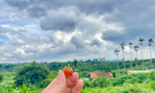 sang tên công chứng liền – Sổ Riêng Xây Dựng