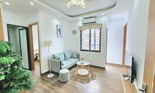 Chung cư Lê Duẩn –Hồ Ba Mẫu hơn 600 triệu/căn 25 -55m2 ,Đủ nội thất ,Ở luôn