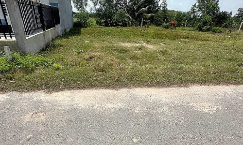 Chủ bán lô đất 195m2,Nguyễn Thị Rành,Phước Hiệp,Củ Chi,giá 520tr.