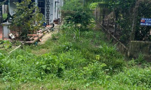 Bán gấp lô đất 150m2,ngay Nguyễn Thị Rành,Tân An Hội,Củ Chi,giá 540tr.