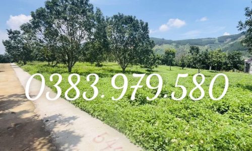 CÓ SỔ , CÓ THỔ, CÓ LUÔN VƯỜN BƠ , SHR,  CÔNG CHỨNG LIỀN