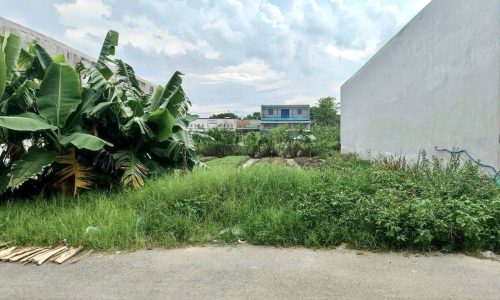 Chủ bán gấp lô đất 160m2,Trần Tử Bình,Tân Thông Hội,Củ Chi,giá 640tr.