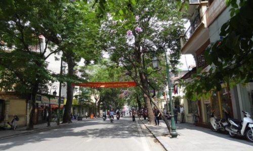Nhà 3 Mặt Thoáng Có Thanh Máy Bán Nhanh 39 tỷ Mặt Phố Tràng Thi DT 55mx6T