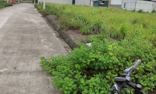 bán nhanh 78m2 đất đấu giá Đình Dù – Văn Lâm, chỉ 2.1 tỷ: lh 0835459289