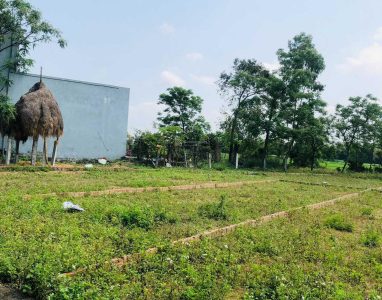 Chính chủ cần bán 3 lô liền kề cách chợ Lệ Trạch 3km