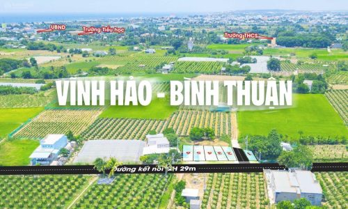 Đầu tư đất nền tại Phước Thể Bình Thuận – lợi nhuận cực cao trong tầm