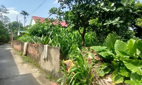 Bán nhanh đất cực đẹp, Đình Dù, đường rộng thoáng, giá tốt: lh 0835459289