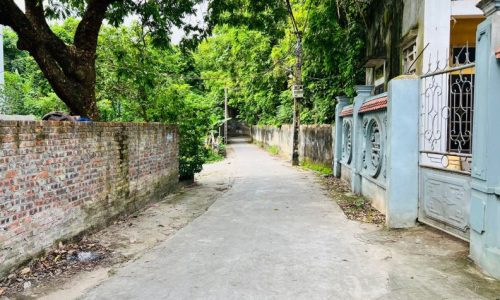 Bán lô đất ở tại làng dược liệu Nghĩa Trai – Tân Quang – Văn Lâm. 165m, giá tốt: lh 0835459289