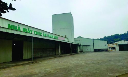 CHUYỂN NHƯỢNG NHÀ MÁY SX THỨC ĂN CHĂN NUÔI TẠI HÒA BÌNH
