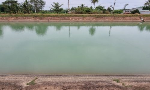 Đất view kênh xanh mát ở Gò Dầu, oto chạy vi vu – giá 720tr