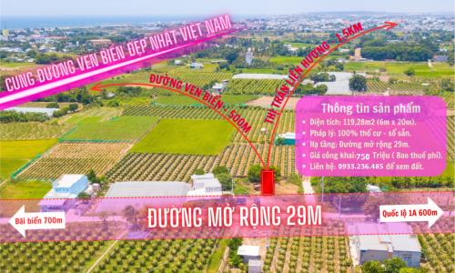 Nếu bạn đã chán ngấy với đầu tư Căn Hộ, hãy thử đầu tư vào đất nền – KDC Phước Thể