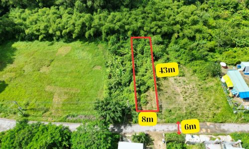 Ngang 8m, dài 43m, đất nằm ở An Hòa, Trảng Bàng, Tây Ninh