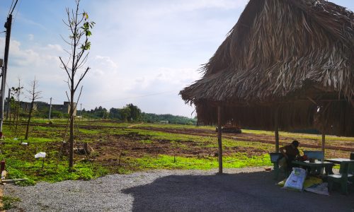 BÁN ĐẤT XÃ HƯNG LỘC HUYỆN THỐNG NHẤT ĐỒNG NAI, CÁCH TP.HCM 1H ĐI XE, ĐƯỜNG OTO TỚI ĐẤT
