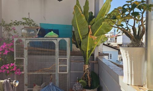 Bán nhà đẹp 4 tầng, Lê Văn Sỹ, Q3, hẻm ba gác thông, 3PN, trước nhà 3m, 27m2, nhỉnh 4 tỷ