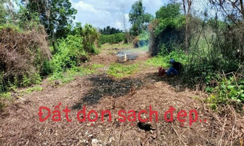 Đất thổ cư dt 154m2 xã Bình Đức, huyện Bến Lức , Long An giá 720tr