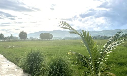 Bán lỗ đất xã Đại Hiệp huyện Đại Lộc trả nợ ngân hàng chỉ còn 6xx