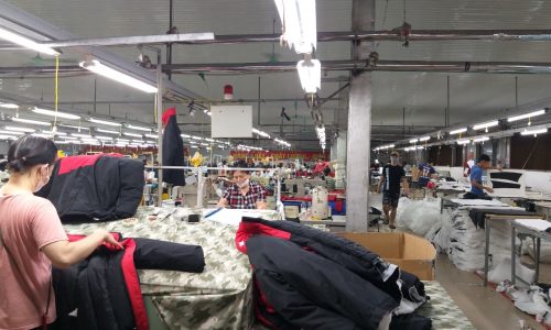 CHUYỂN NHƯỢNG 100% CỔ PHẦN CTY MAY XK TẠI tỉnh THÁI BÌNH