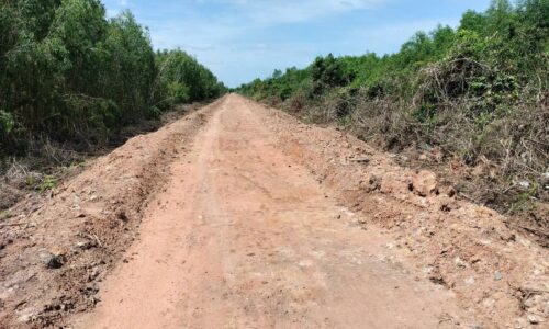 2 lô đất vườn dt 1000m2 / 1 lô xã Thạnh Lợi, Bến Lức, Long An giá 1ty100 /1000m2